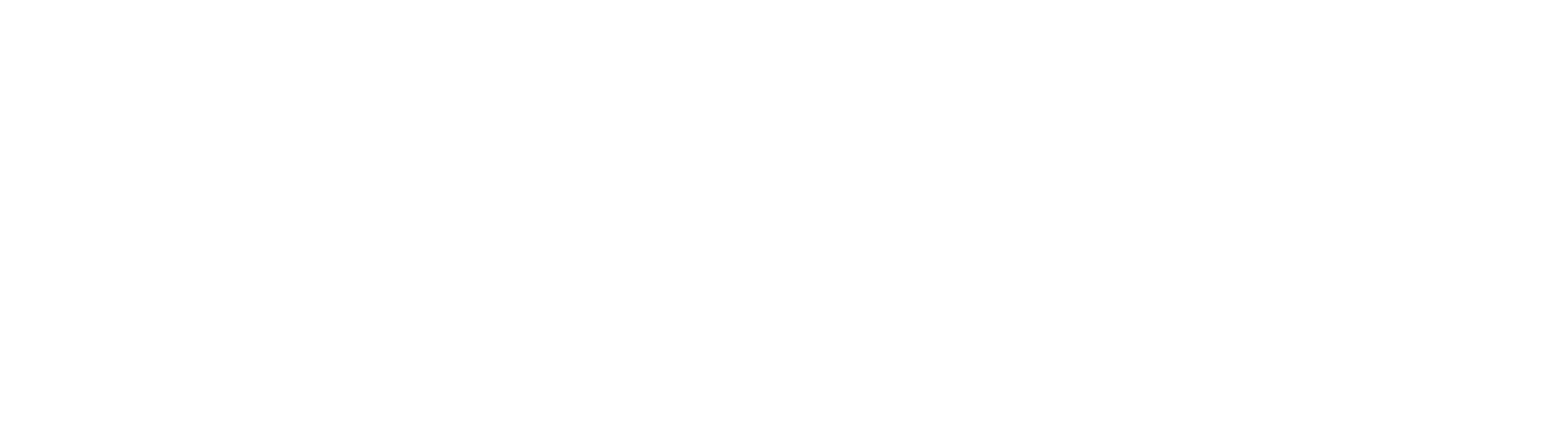 Nepal News Logo